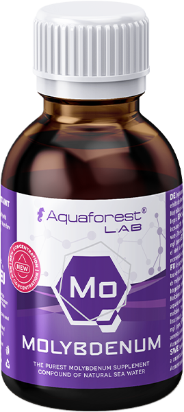 Aquaforest Lab Spurenelemente – Einzelelemente nach ICP | 200 ml – Molybdän (Mo)