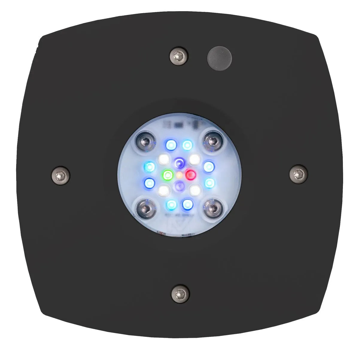 AI Prime 16HD Reef Schwarz – LED-Leuchte, Unterseite mit 16 LEDs