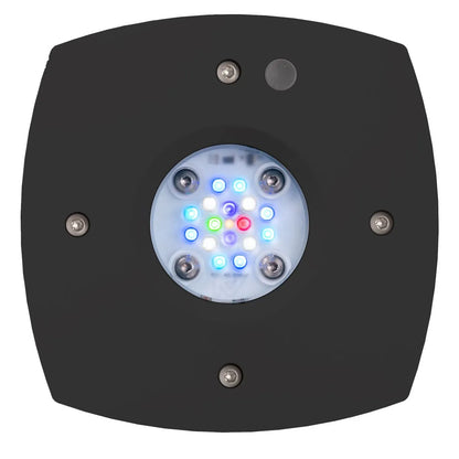 AI Prime 16HD Reef Schwarz – LED-Leuchte, Unterseite mit 16 LEDs