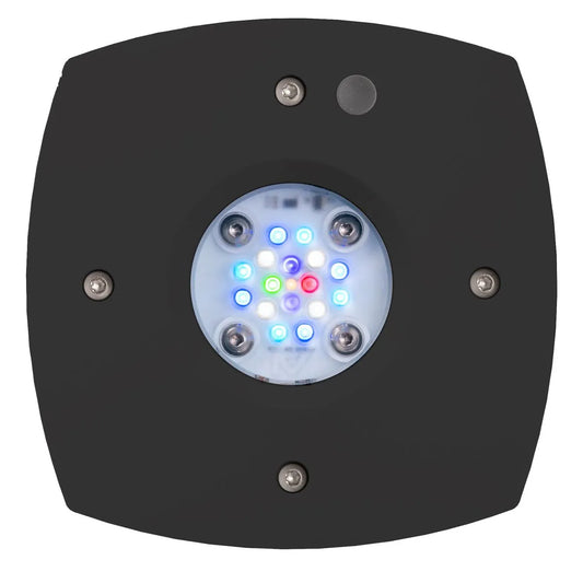 AI Prime 16HD Reef Schwarz – LED-Leuchte, Unterseite mit 16 LEDs