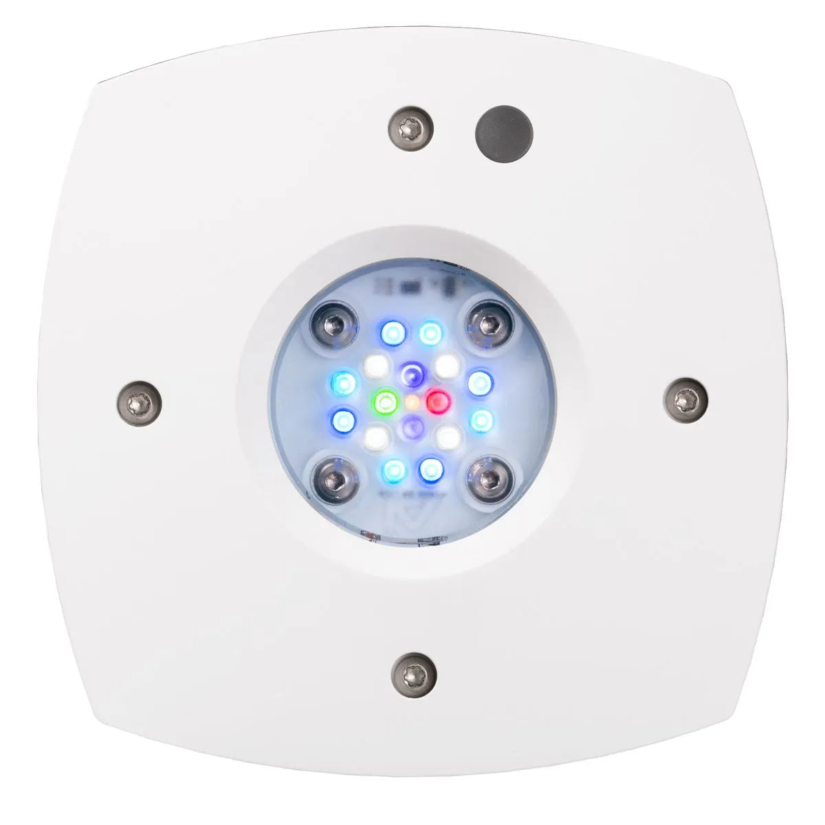 AI Prime 16HD Reef Weiß – LED-Leuchte, Unterseite mit 16 LEDs